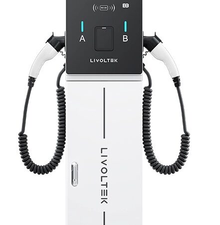 Cargador auto eléctrico 22kW bush 22kw Livoltek