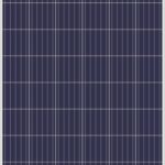 Panel Solar Amerisolar 340 W Policristalino (AS-6P-340W)